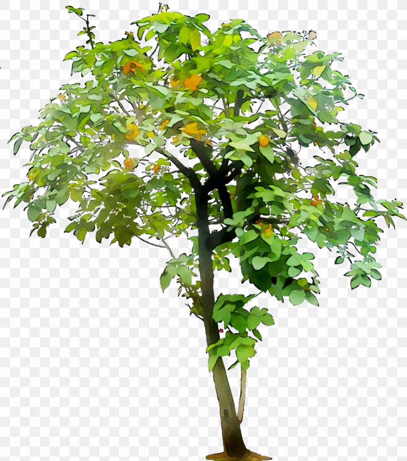 Branch Artificial Flower Plants Leaf Plant Stem, PNG, 1020x1156px, Branch, Artificial Flower, Eucalyptus Cinerea, Floral Design, Floristry Download Free