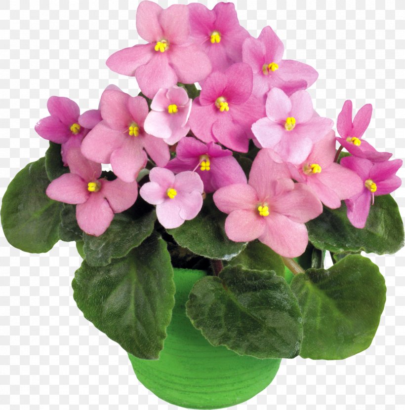 Flower Violet Floral Design Clip Art, PNG, 1184x1200px, Flower, Floral Design, Flower Bouquet, Flowering Plant, Flowerpot Download Free