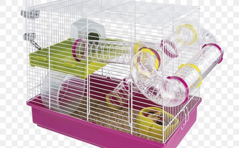 Golden Hamster Gerbil Hamster Cage, PNG, 825x510px, Hamster, Cage, Dog Crate, Gerbil, Golden Hamster Download Free