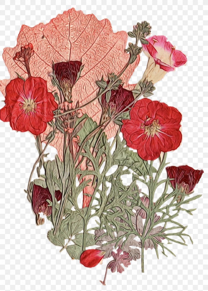 Pink Flower Cartoon, PNG, 1212x1691px, Floral Design, Begonia, Bouquet, Carnation, Coquelicot Download Free