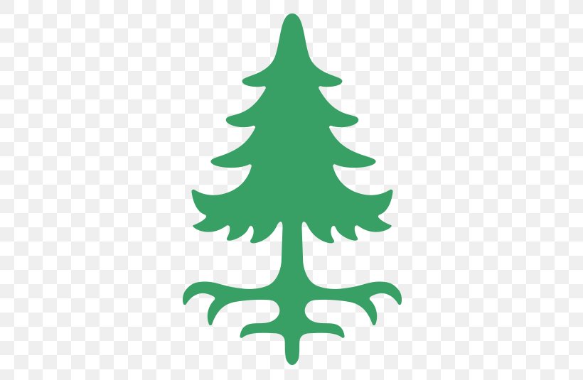 Spruce Western White Pine Eastern White Pine Fir Tree, PNG, 535x535px, Spruce, Bark, Branch, Christmas Decoration, Christmas Ornament Download Free