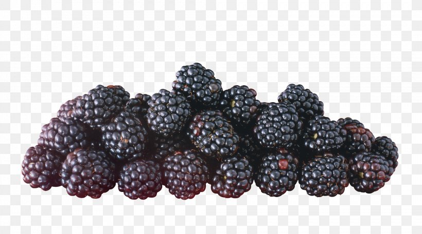 Frutti Di Bosco Fruit Raspberry Blackberry, PNG, 2091x1164px, Raspberry, Berry, Bilberry, Blackberry, Boysenberry Download Free