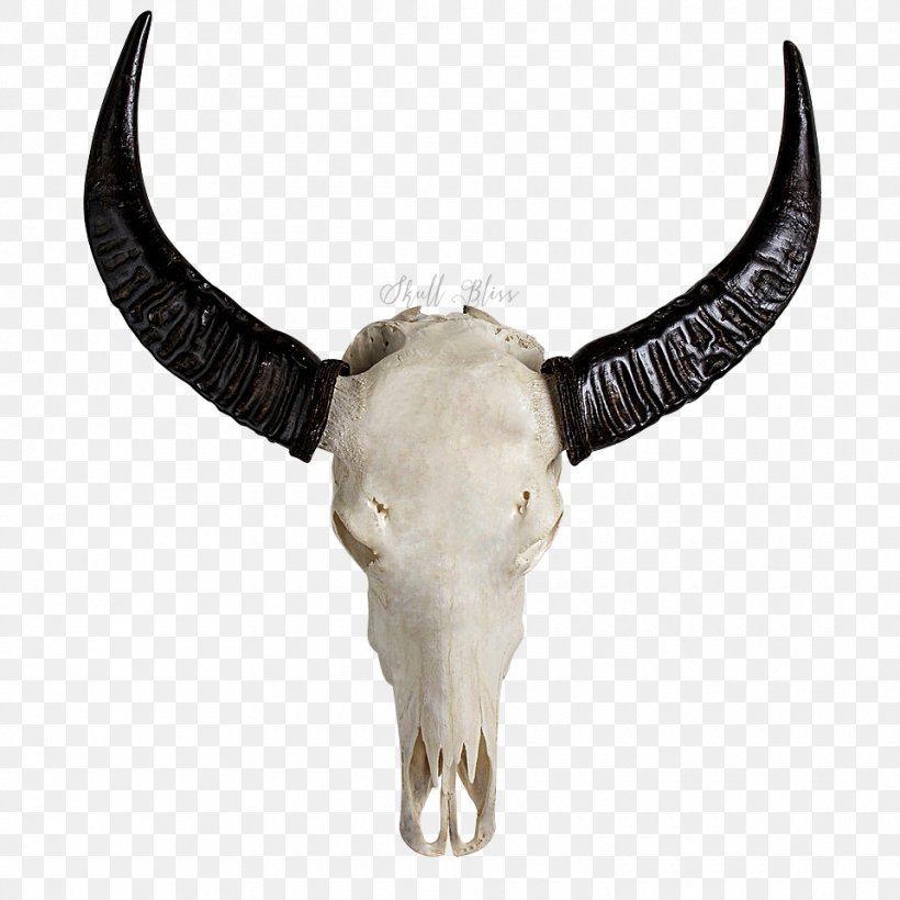 Horn Skull Bone Cattle Carving, PNG, 960x960px, Horn, Animal, Antique, Balinese People, Bone Download Free