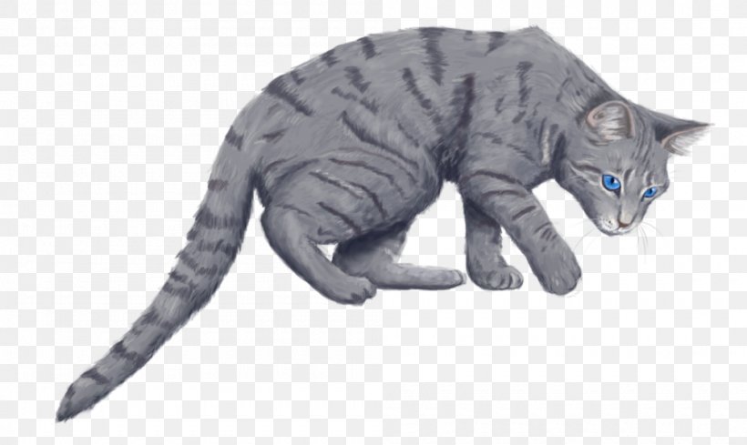 Whiskers Kitten Tabby Cat Fur, PNG, 1000x597px, Whiskers, Animal Figure, Carnivoran, Cat, Cat Like Mammal Download Free