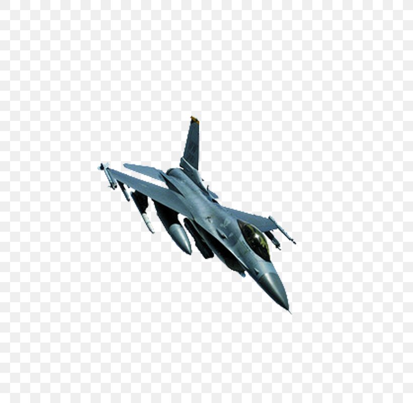 Aircraft Grumman F-14 Tomcat, PNG, 800x800px, Aircraft, Aerospace Engineering, Air Force, Airplane, Fighter Aircraft Download Free