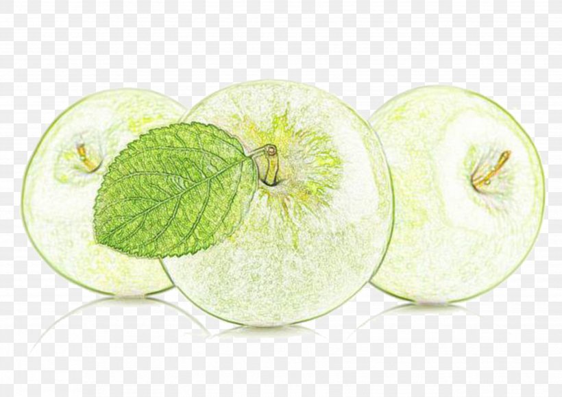 Apple Drawing Colored Pencil Painting, PNG, 3508x2480px, Apple, Auglis, Colored Pencil, Croquis, Drawing Download Free