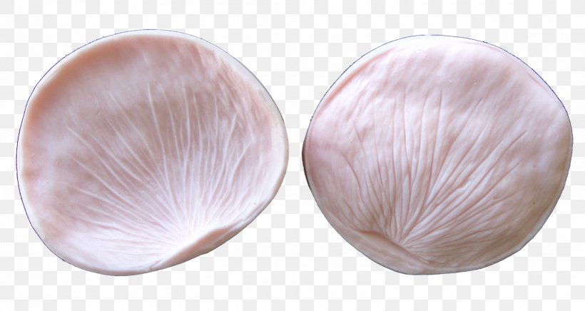 Skin Petal Tableware, PNG, 1440x767px, Skin, Dishware, Petal, Pink, Tableware Download Free