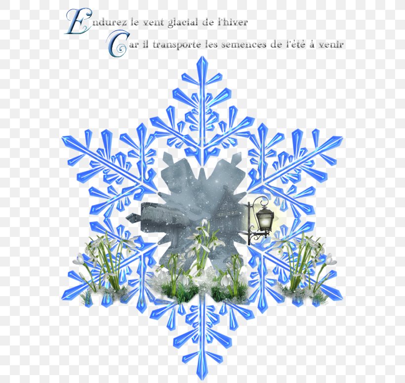 Snowflake Sony Xperia XZ1 Huawei Sony Xperia XZ2 Compact, PNG, 583x776px, Snowflake, Blue, Branch, Christmas Decoration, Christmas Ornament Download Free