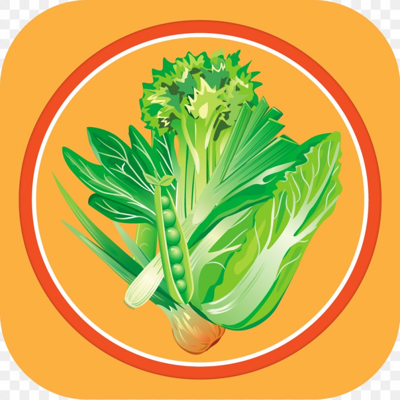 Spring Greens Vegetarian Cuisine Natural Foods Herb, PNG, 1024x1024px, Spring Greens, Flowerpot, Food, Herb, House Download Free
