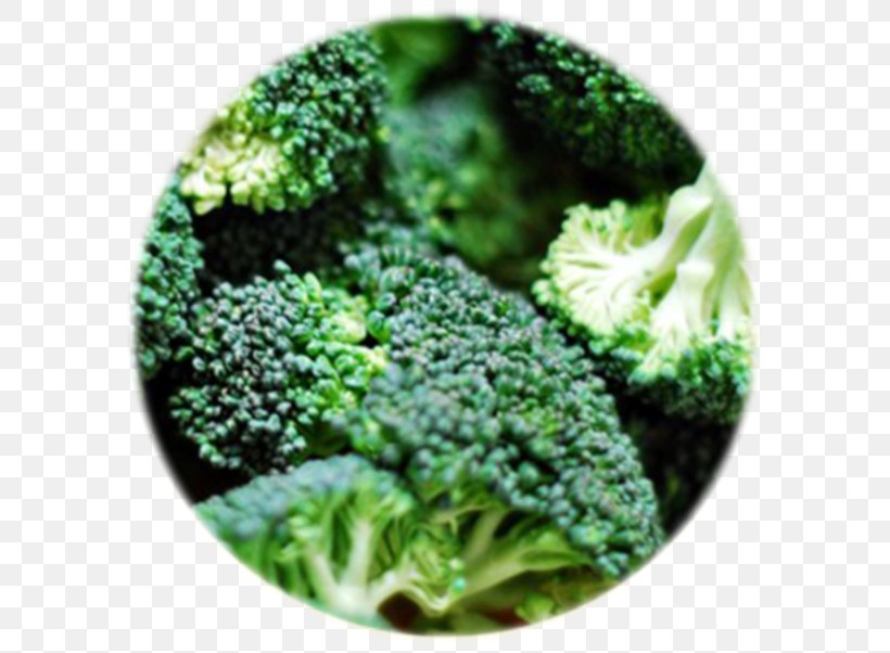 Broccoli Cabbage Cauliflower Kohlrabi Brussels Sprout, PNG, 600x602px, Broccoli, Brassica Oleracea, Broccoli Slaw, Brussels Sprout, Cabbage Download Free