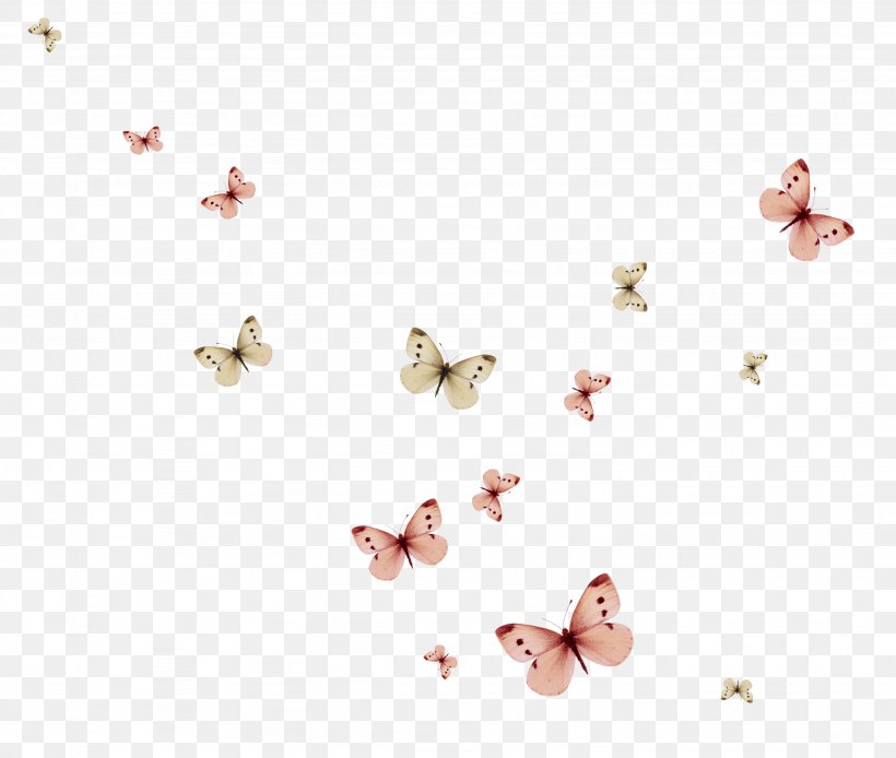Butterfly Standard Test Image, PNG, 2664x2256px, Butterfly, Body Jewelry, Butterflies And Moths, Computer Software, Document Download Free