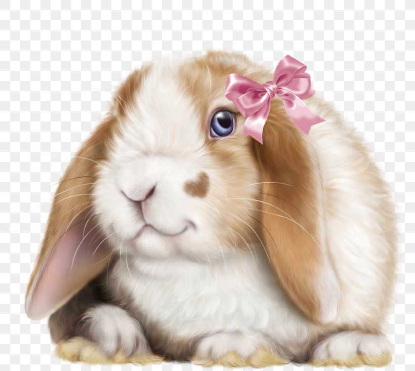 Domestic Rabbit Leporids, PNG, 800x733px, Domestic Rabbit, Blog, Ear, Fur, Leporids Download Free