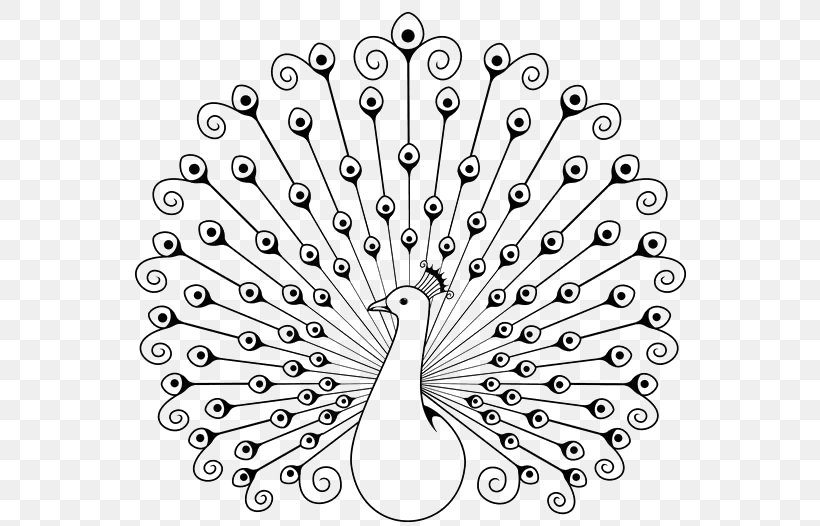 Peafowl Drawing Coloring Book Clip Art, PNG, 564x526px, Peafowl, Art, Asiatic Peafowl, Black And White, Color Download Free