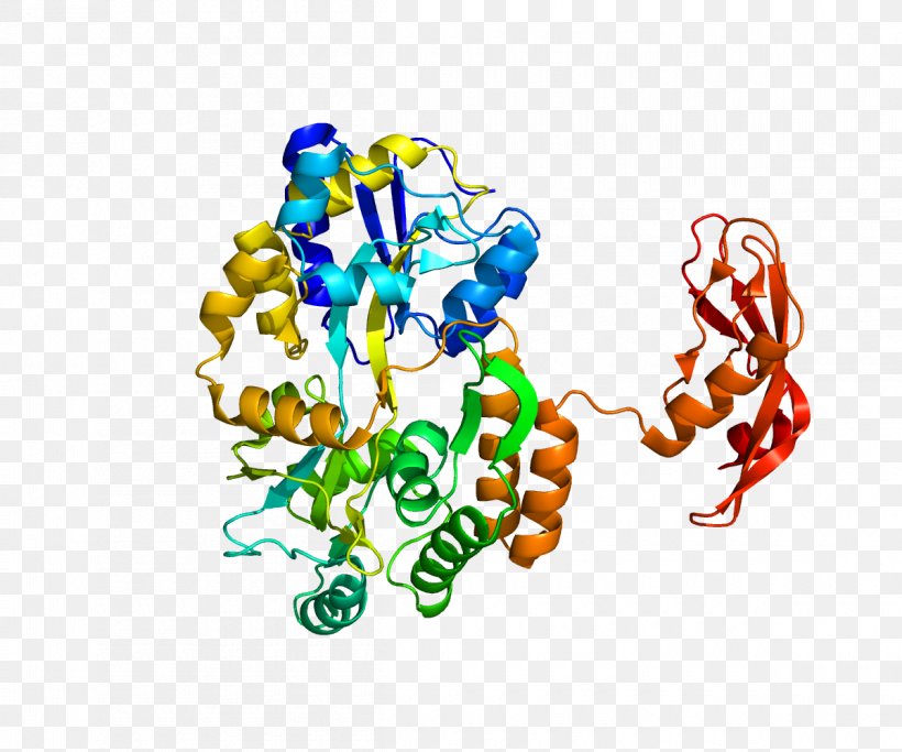 Corticotropin-releasing Hormone Receptor 1 Gene Corticotropin-releasing Factor Family, PNG, 1200x1000px, Watercolor, Cartoon, Flower, Frame, Heart Download Free