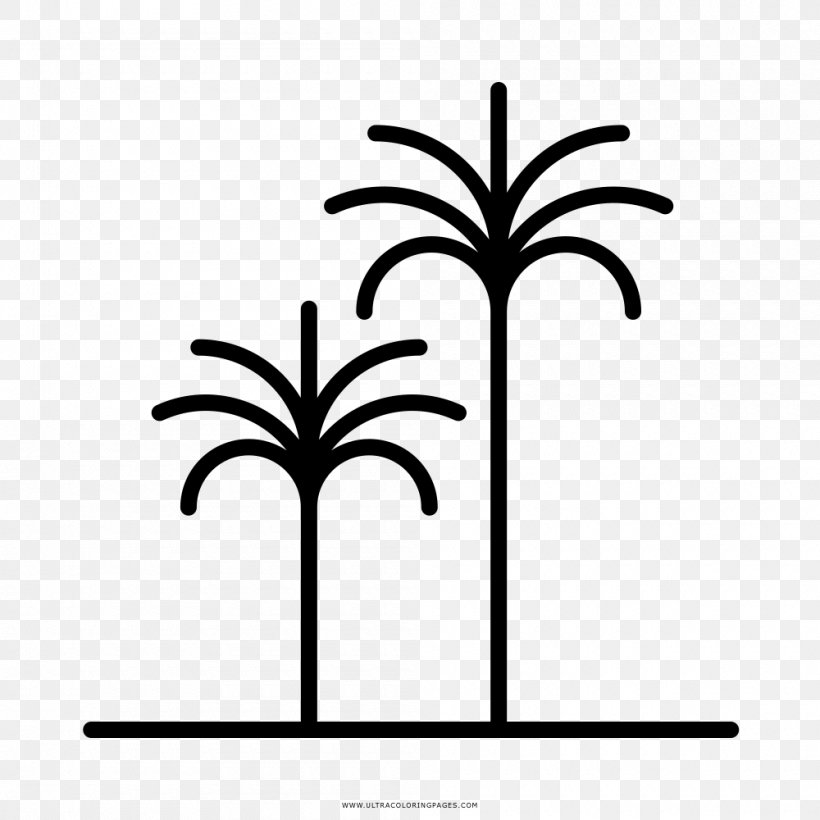 Drawing Coloring Book Arecaceae Black And White Clip Art, PNG, 1000x1000px, Drawing, Arecaceae, Artwork, Black And White, Branch Download Free