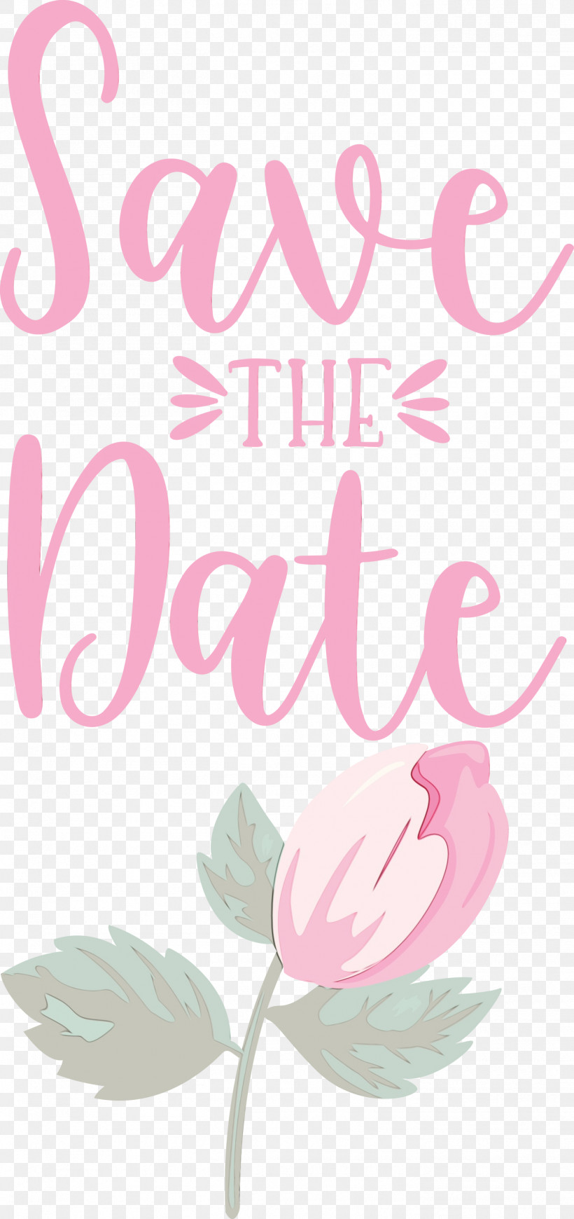 Floral Design, PNG, 1413x2999px, Save The Date, Biology, Floral Design, Meter, Paint Download Free