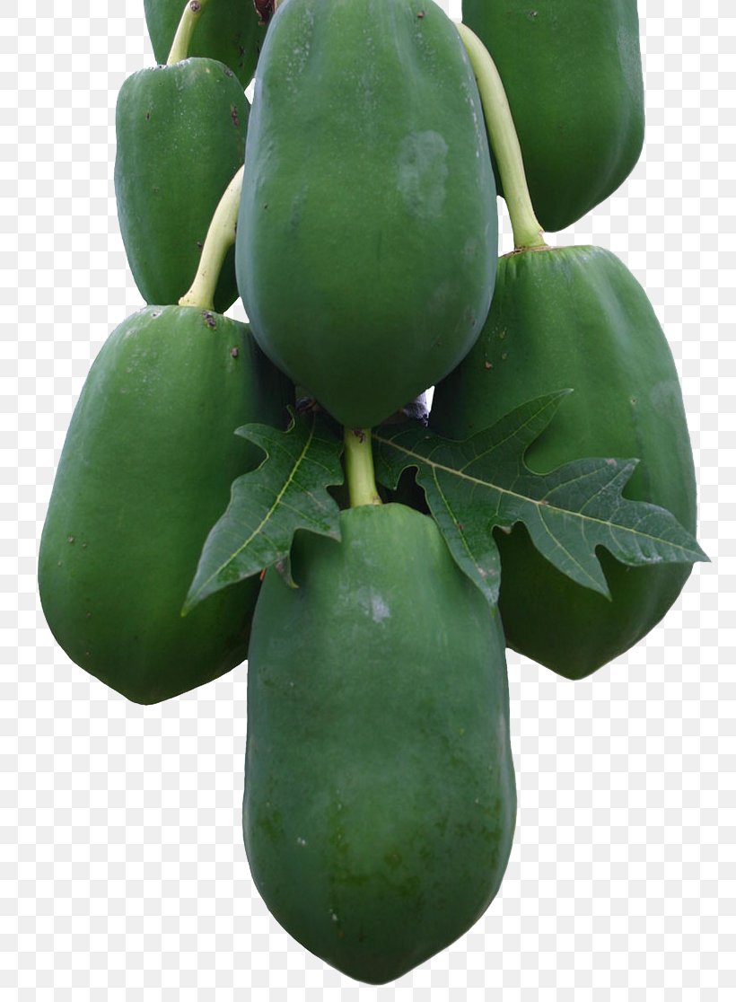 Papaya Fruit Auglis Vegetable, PNG, 776x1116px, Papaya, Auglis, Flowerpot, Food, Fruit Download Free