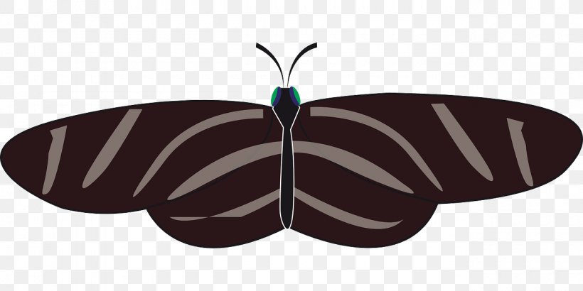 Butterfly Heliconius Charithonia Zebra Clip Art, PNG, 1280x640px, Butterfly, Arthropod, Everglades, Heliconius Charithonia, Insect Download Free