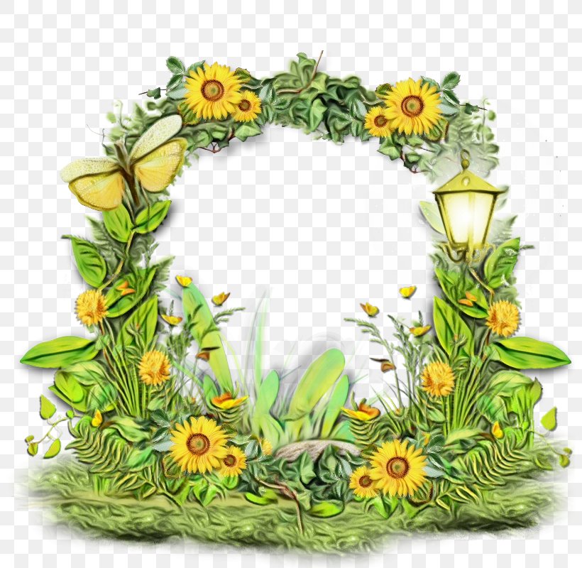 Green Grass Background, PNG, 800x800px, Floral Design, Common Sunflower, Daisy, Floristry, Flower Download Free