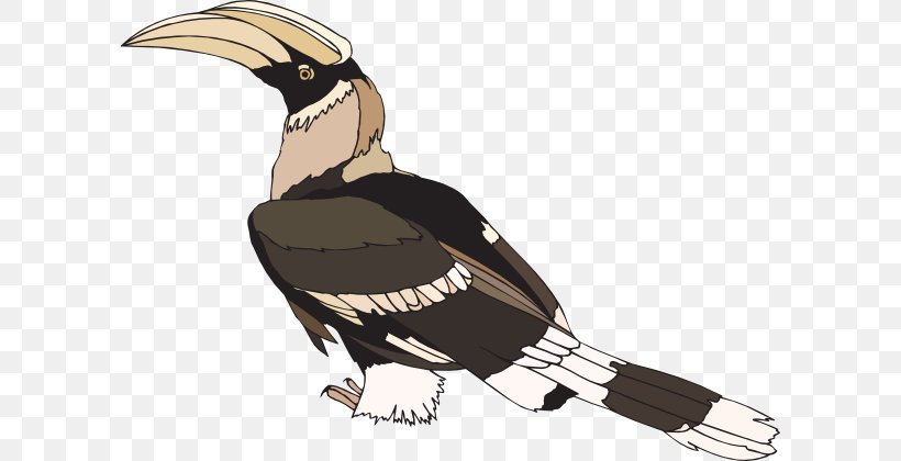 Hornbill Clip Art, PNG, 600x420px, Hornbill, Beak, Bird, Bird Of Prey, Blog Download Free