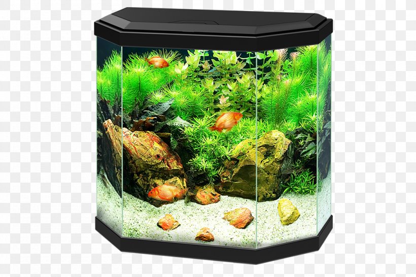 Light-emitting Diode Aquariums LED Lamp, PNG, 1050x700px, Light, Aqua, Aquarium, Aquarium Decor, Aquarium Filters Download Free