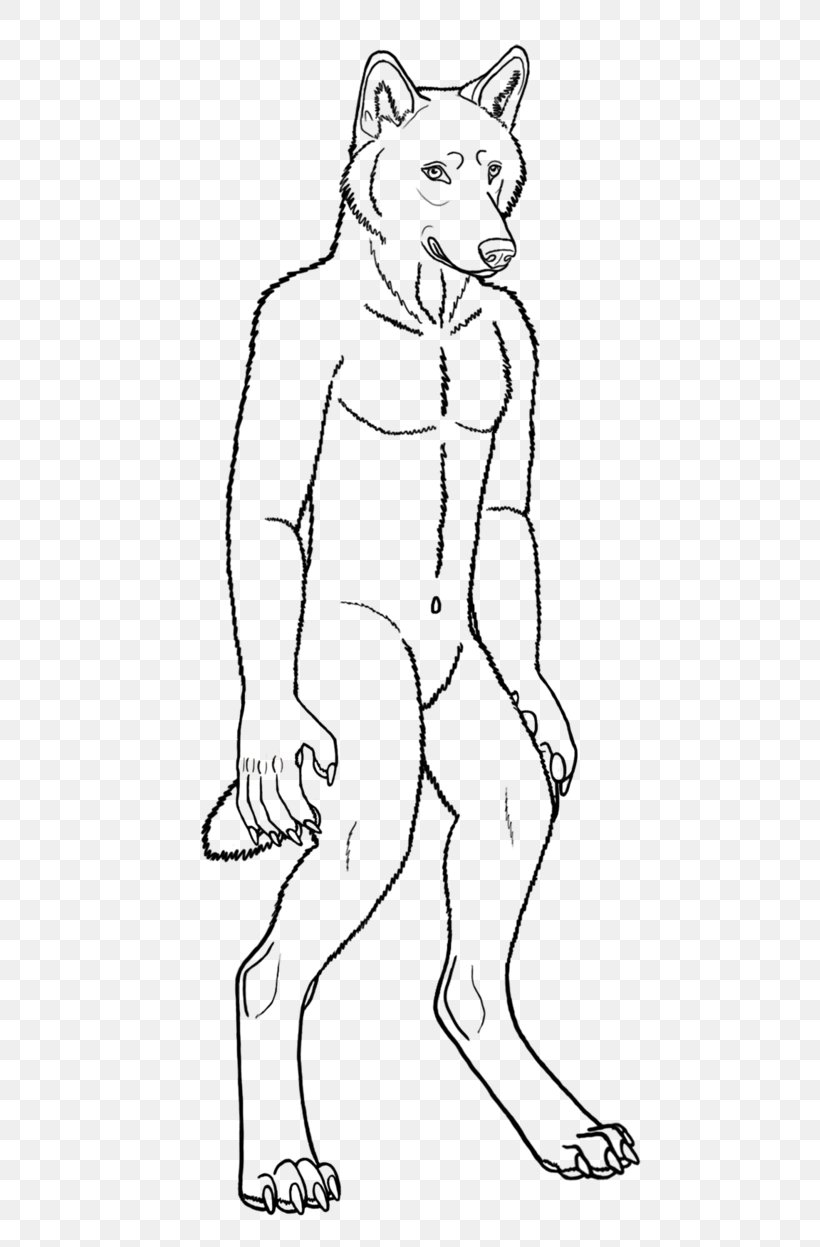 Line Art Drawing Gray Wolf Werewolf, PNG, 641x1247px, Line Art, Arm, Art, Artwork, Black And White Download Free
