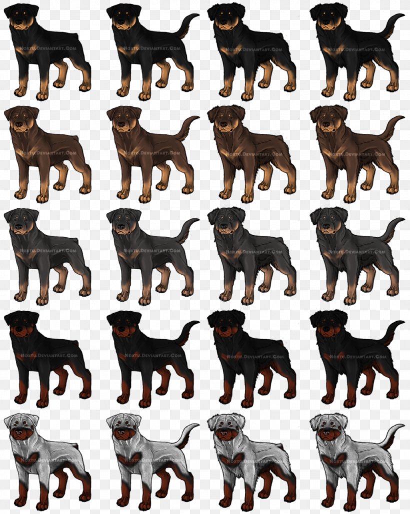 Rottweiler Tibetan Mastiff English Mastiff Dog Breed Canidae, PNG, 1024x1285px, Rottweiler, Albinism, Animal, Breed, Breed Group Dog Download Free