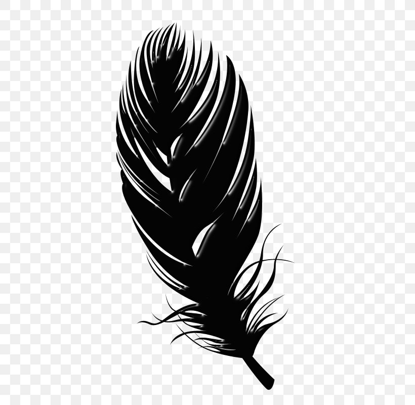 Vector Graphics Feather Quill Image, PNG, 400x800px, Feather, Bird, Black Hair, Blackandwhite, Drawing Download Free