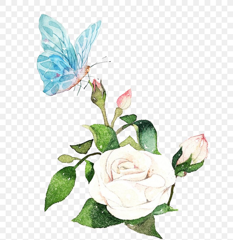 Watercolor Painting Download, PNG, 700x844px, Watercolor Painting, Butterfly, Cut Flowers, Designer, Flora Download Free