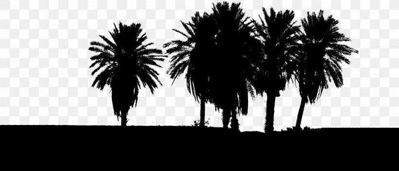 Tree Clip Art, PNG, 2400x1034px, Tree, Arecales, Black And White, Borassus Flabellifer, Date Palm Download Free