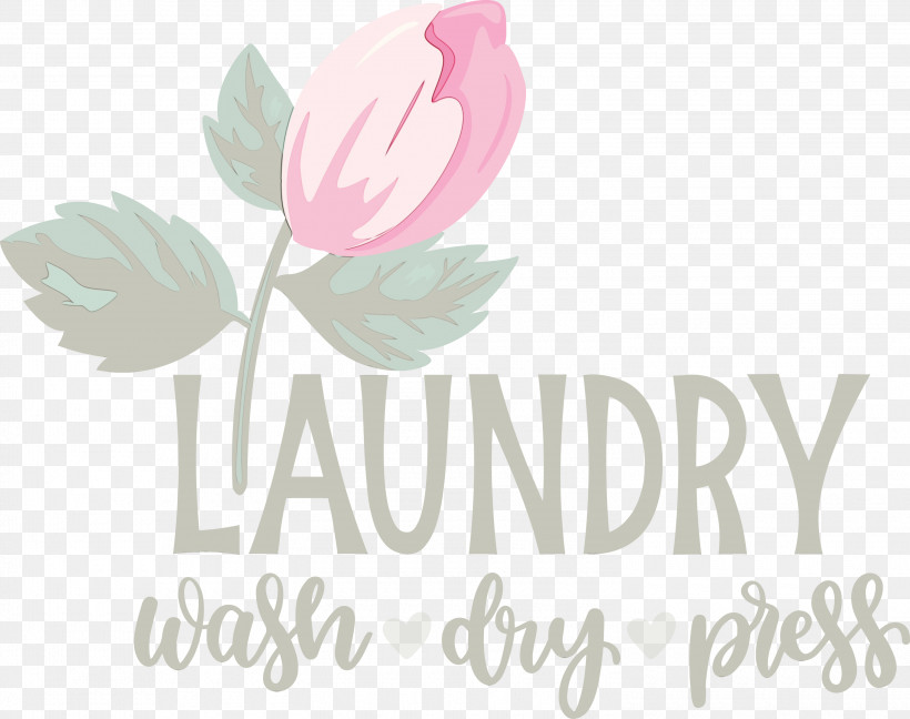 Floral Design, PNG, 3000x2372px, Laundry, Biology, Dry, Floral Design, Flower Download Free