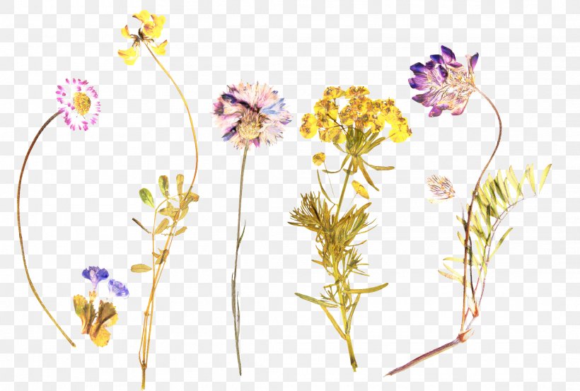 Flowers Background, PNG, 2126x1436px, Flower, Cut Flowers, Floral Design, Pedicel, Petal Download Free