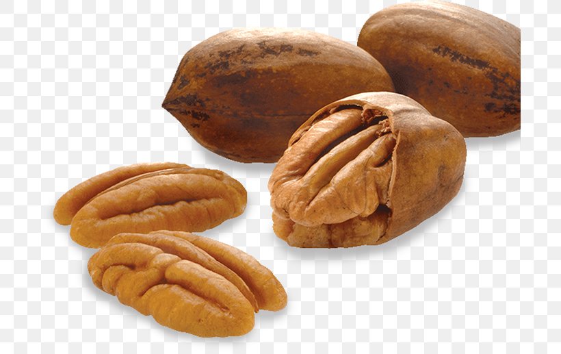 Pine Nut Pecan Almond Tree Nut Allergy, PNG, 702x517px, Nut, Almond, Areca Nut, Brazil Nut, Cashew Download Free