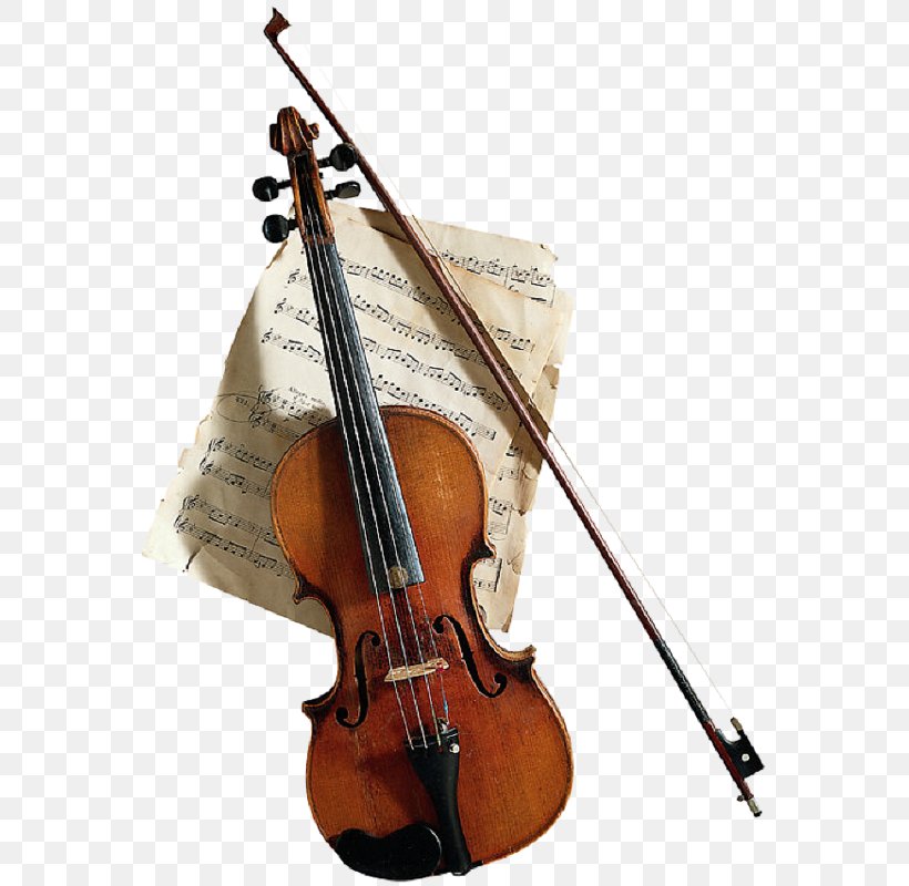 Violin Viola Music Cello Bow, PNG, 564x800px, Violin, Bass Violin, Bow, Bowed String Instrument, Cello Download Free