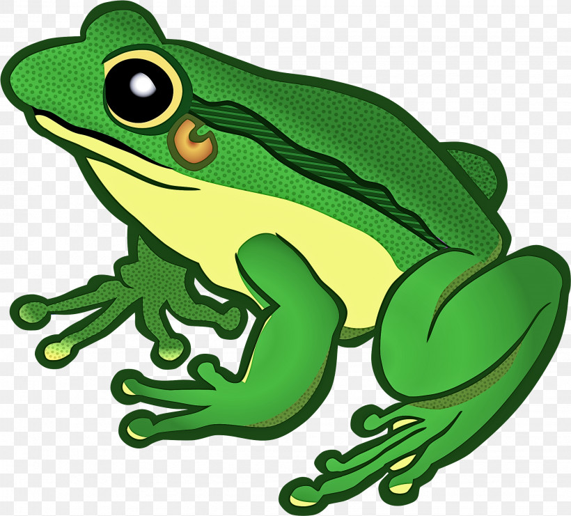Frog True Frog Hyla Tree Frog Tree Frog, PNG, 2247x2032px, Frog, Green, Hyla, Shrub Frog, Toad Download Free
