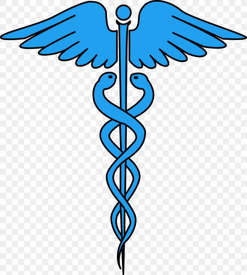 Staff Of Hermes Caduceus As A Symbol Of Medicine Clip Art, PNG, 2528x2815px, Staff Of Hermes, Animation, Beak, Caduceus As A Symbol Of Medicine, Display Resolution Download Free