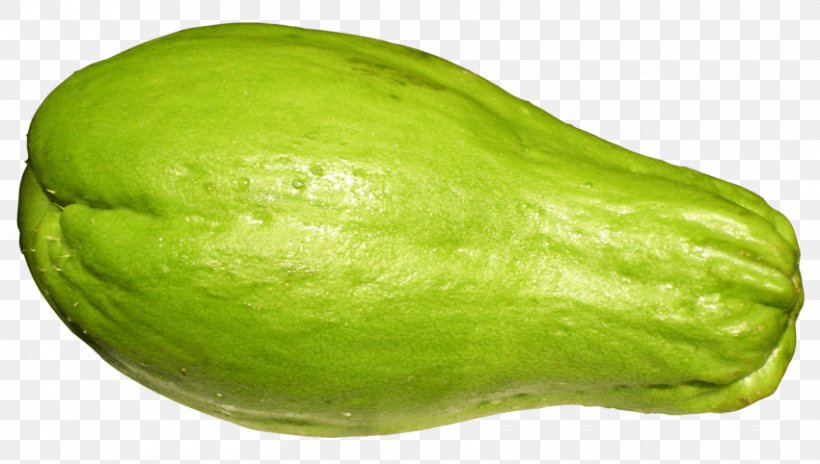 Chayote Melon Vegetable Food, PNG, 850x482px, Chayote, Avocado, Cucumber Gourd And Melon Family, Cucurbita, Food Download Free