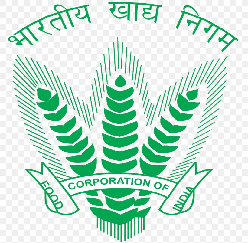 Food Corporation Of India Regional Office Organization Recruitment, PNG, 768x803px, 2017, 2019, Food Corporation Of India, Area, Artwork Download Free