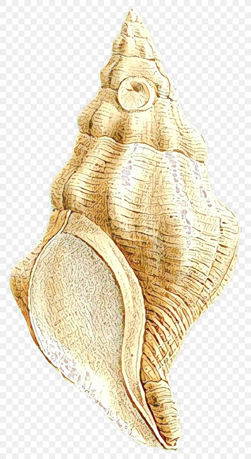 Gold Drawing, PNG, 918x1678px, Conchology, Cockle, Conch, Drawing, Gold Download Free