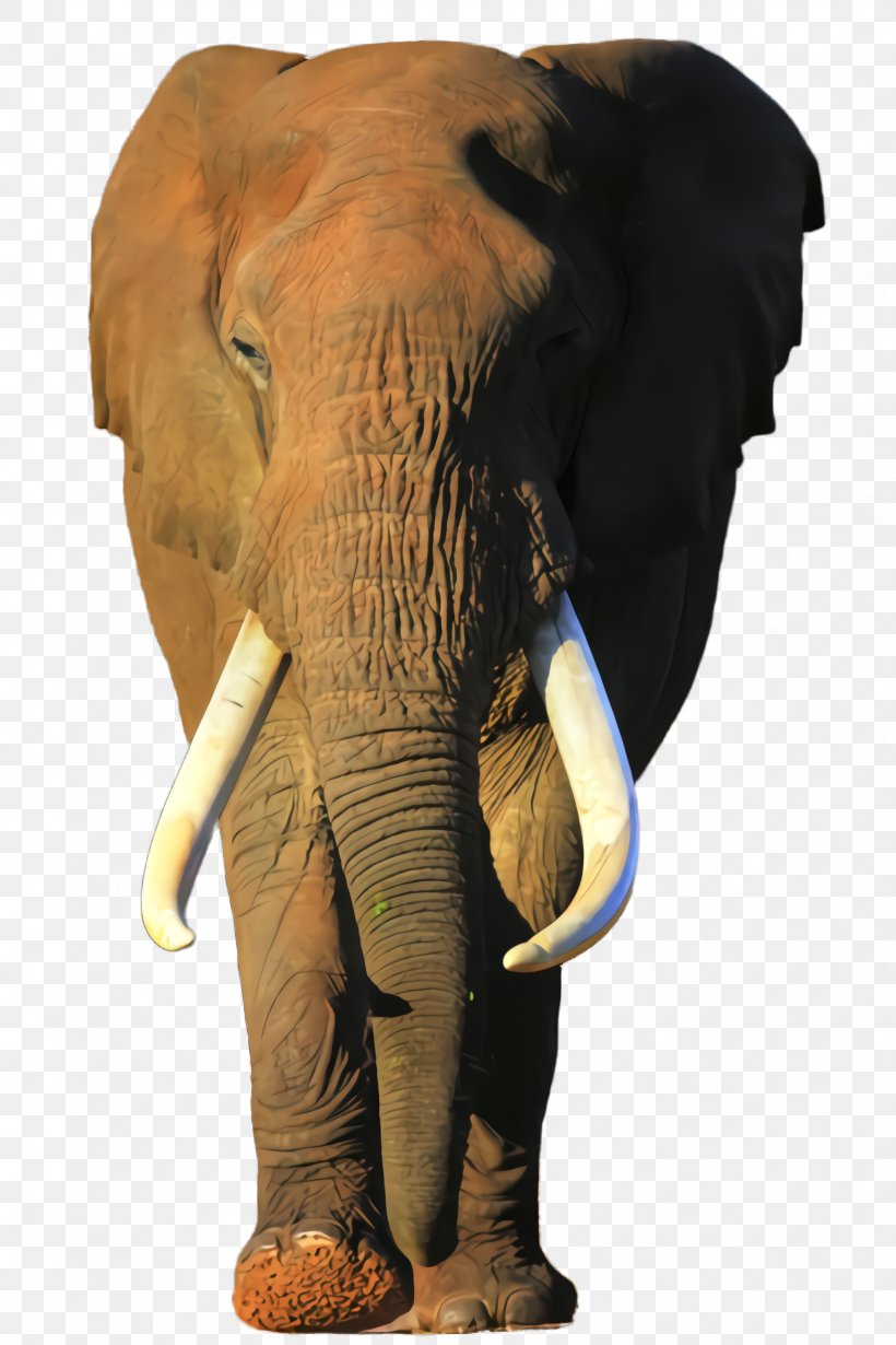 Indian Elephant, PNG, 1632x2448px, Elephant, African Elephant, Animal Figure, Elephants And Mammoths, Indian Elephant Download Free