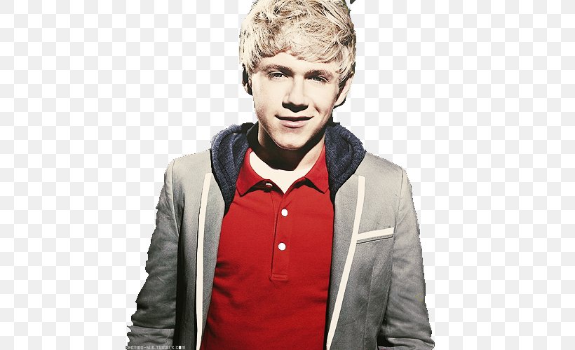 Niall Horan The X Factor One Direction Photography, PNG, 500x500px, Niall Horan, Boy Band, Drawing, Facial Hair, Forehead Download Free
