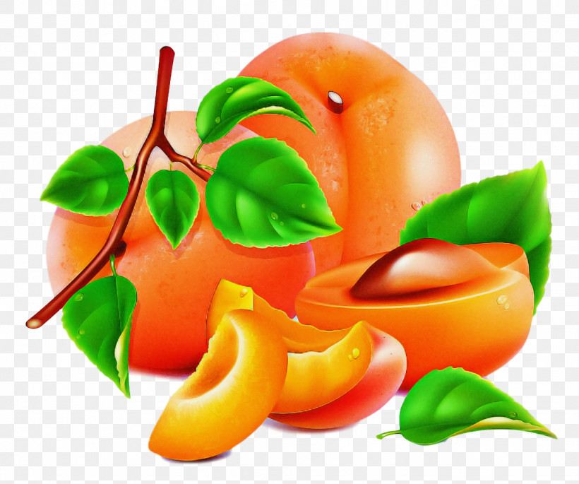 Orange, PNG, 1024x856px, Natural Foods, Food, Fruit, Leaf, Liquid Download Free