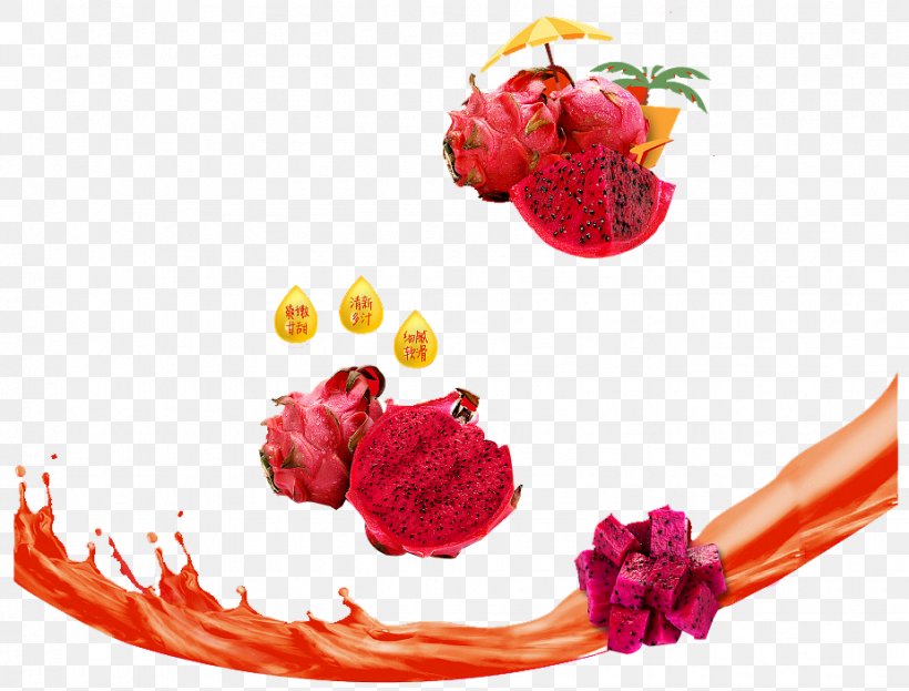 Pitaya Auglis Fruit Hylocereus Undatus, PNG, 925x703px, Pitaya, Auglis, Berry, Cut Flowers, Designer Download Free