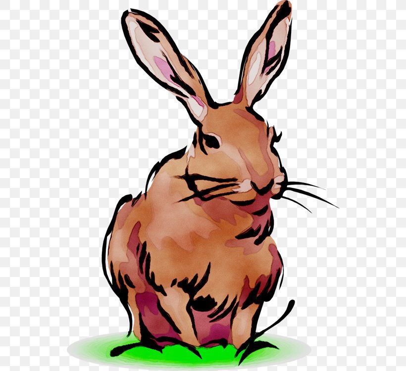 Domestic Rabbit Clip Art Hare Dog, PNG, 552x750px, Domestic Rabbit, Animal Figure, Art, Collar, Customs Download Free