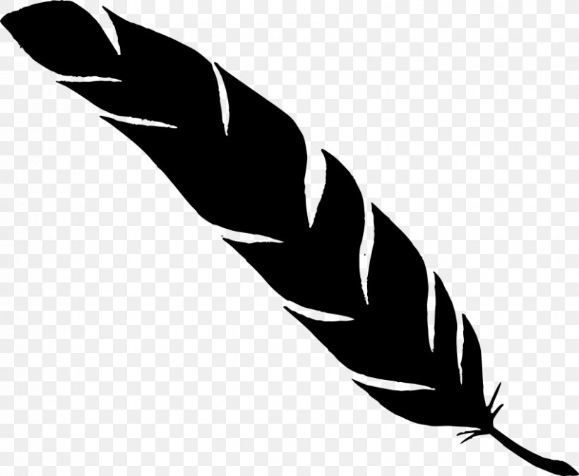 Feather Clip Art, PNG, 850x699px, Feather, Arm, Beak, Bird, Black Download Free
