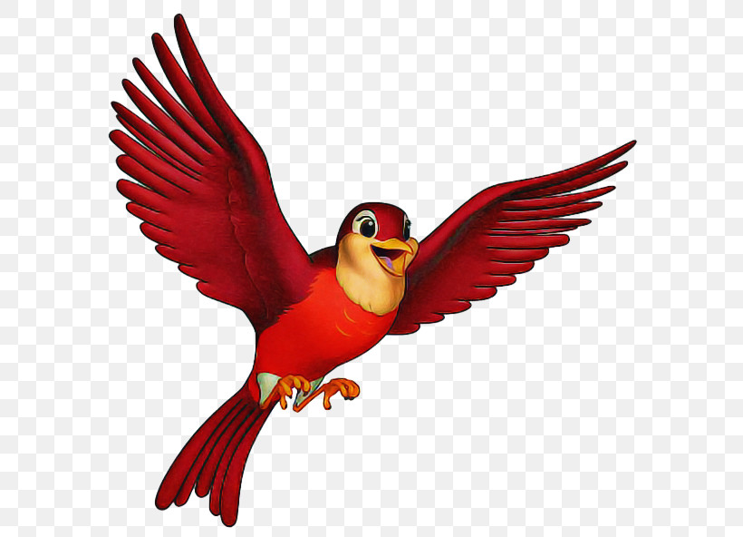 Bird Beak Wing Parrot Perching Bird, PNG, 600x592px, Bird, Beak, Cardinal, Parrot, Perching Bird Download Free