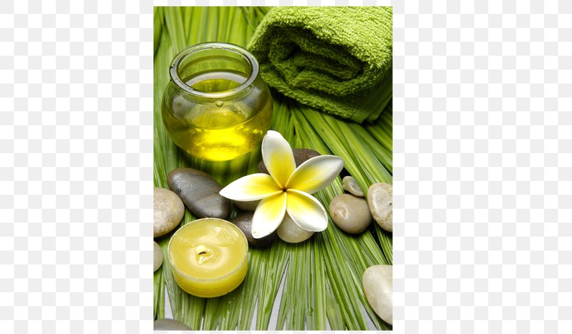 Day Spa Massage Nail Salon Beauty Parlour, PNG, 640x480px, Spa, Aromatherapy, Art, Beauty Parlour, Day Spa Download Free