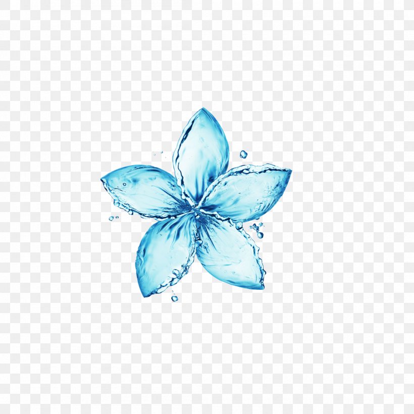 Flower Stock Photography Water Stock.xchng Royalty-free, PNG, 1100x1100px, Flower, Aqua, Art, Butterfly, Color Download Free