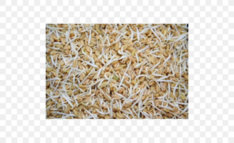 Oat Cereal Germ Straw Mixture, PNG, 500x500px, Oat, Cereal Germ, Commodity, Grain, Grass Family Download Free