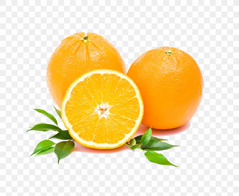 Orange Juice Kiwifruit, PNG, 1248x1024px, Orange Juice, Aroma Compound, Bitter Orange, Citric Acid, Citron Download Free